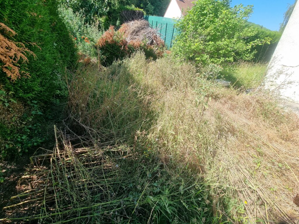 jardin